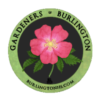 https://www.burlingtonhs.com