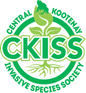 https://ckiss.ca/