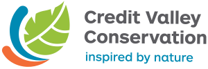 https://cvc.ca/