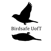 https://www.instagram.com/birdsafeuoft/