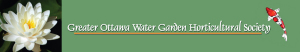 https://www.ottawawatergardens.com/