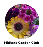 https://www.facebook.com/people/Midland-Garden-Club/100064346875292/