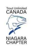 https://www.tucniagara.com/