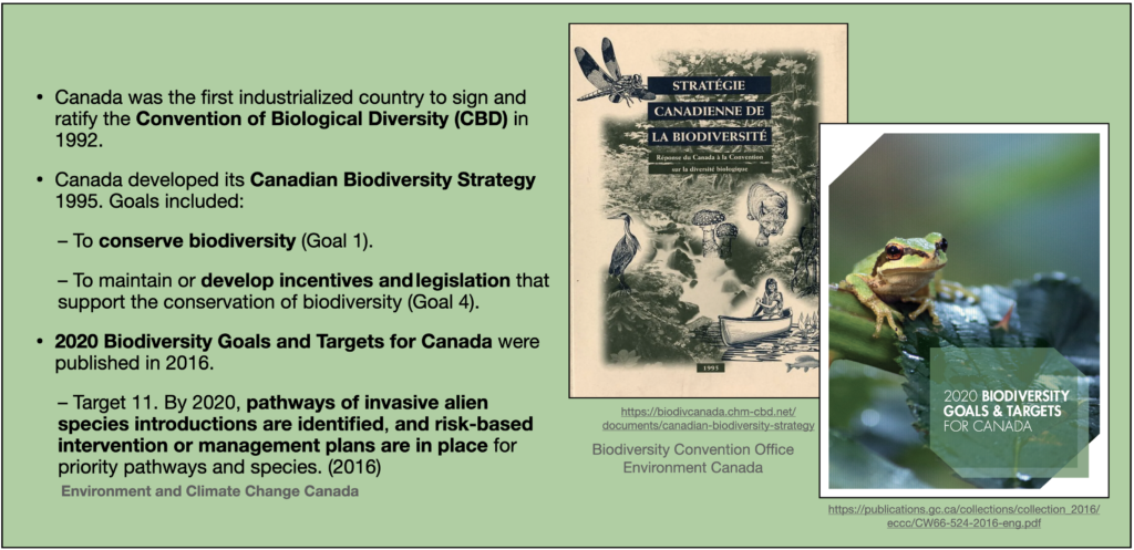 Canada's Biodiversity Strategy was adopted in 1995. Goals included conserving biodiversity and developing legislation that supports the conservation of biodiversity. By 2020, pathways of invasive species were to be identified and intervention plants put in place for priority pathways.
