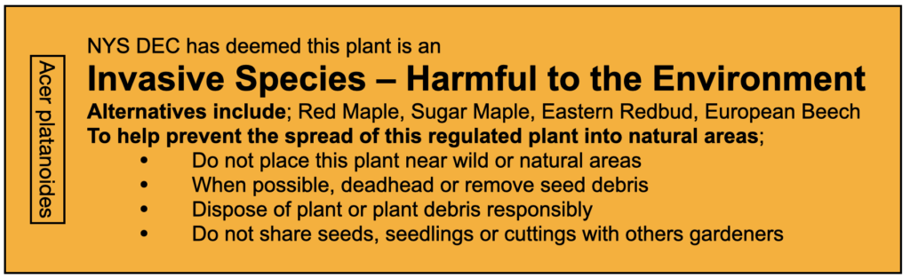 New York State Invasive Plant Label Required for the Sale of Norway Maple