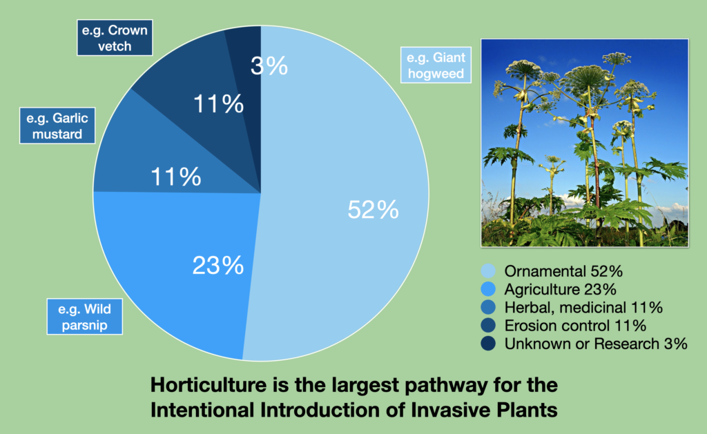 Chart showing horticultural is the primary pathway for the Intentional Introduction of Invasive Plants in Canada