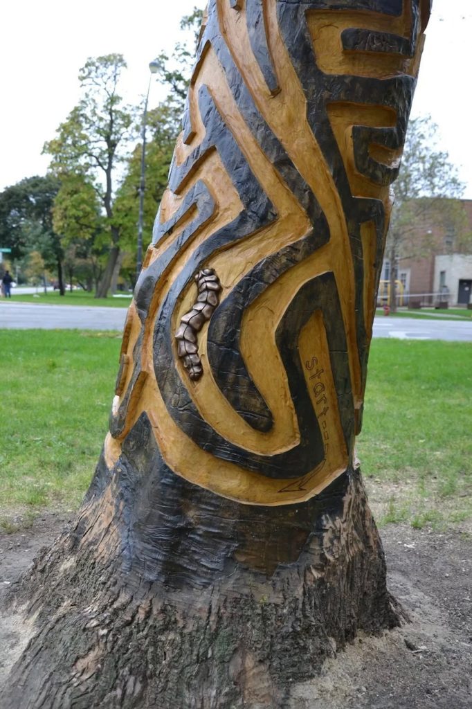 Ash tree trunk carved with maze-like patterns resembling tunnels of Emerald Ash Borer larvae