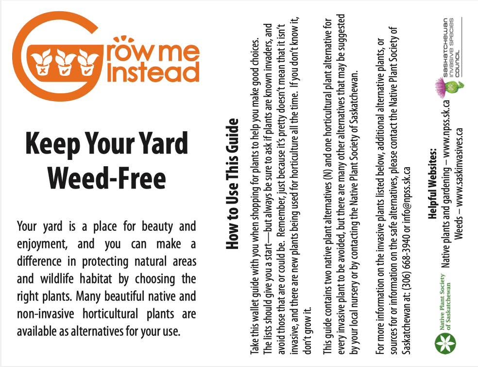graphic of part of Saskatchewan's "Grow Me Instead" brochure