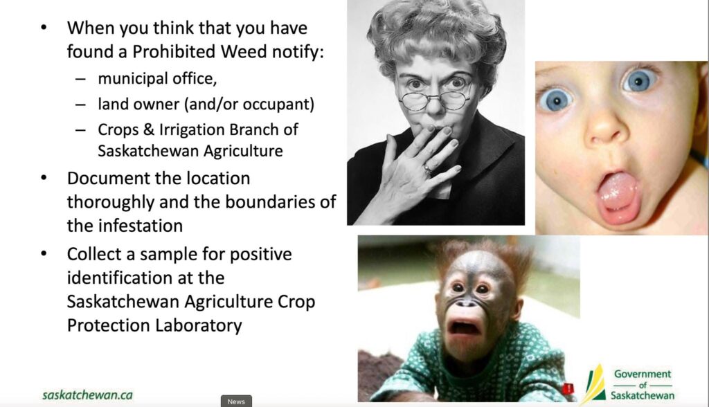 slide from presentation on Saskatchewan weed control act